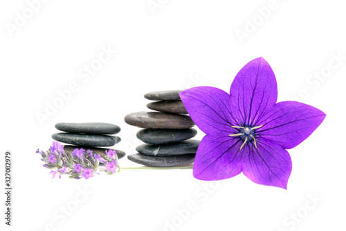 lavender flowers, clematis and stones. Zen background 