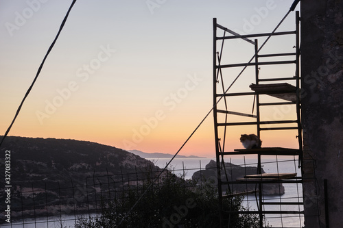 Feline colony during sunup on calamosca beach from capo sant'Elia lighthouse photo