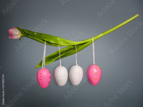 Easter concept. Colored eggs hanging on tulip on grey background. photo