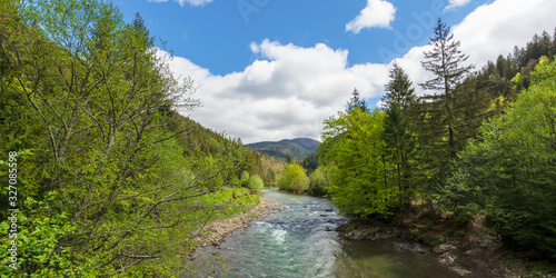 mountain river among the forest in spring. trees, grass and stoner on the shore. beautiful nature landscape. wonderful sunny weather with gorgeous sky © Pellinni