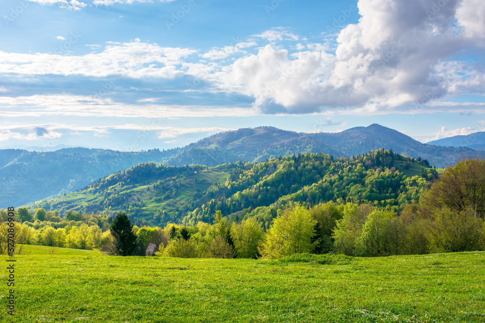 gorgeous rural landscape in mountains. fields and meadows on hills rolling in to the distant ridge. trees in fresh green foliage. nature scenery on a sunny day in spring. fluffy clouds on the sky
