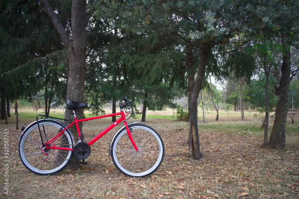 Bicicleta roja en el parque