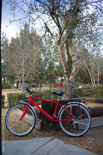 Bicicleta junto aun árbol