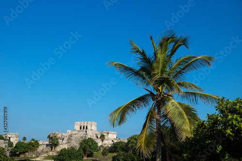 Tropical palm tree and maya ruins on cloudless blue sky, Tulum, Mexico