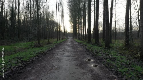 Moving over a small biking path full of puddles and slippery becuase of the many leaves due to the trees at both side photo