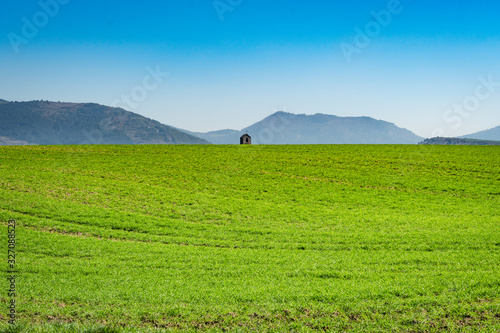 Bell tower of a catholic chapel  at the end of a field of grass. Selective focus