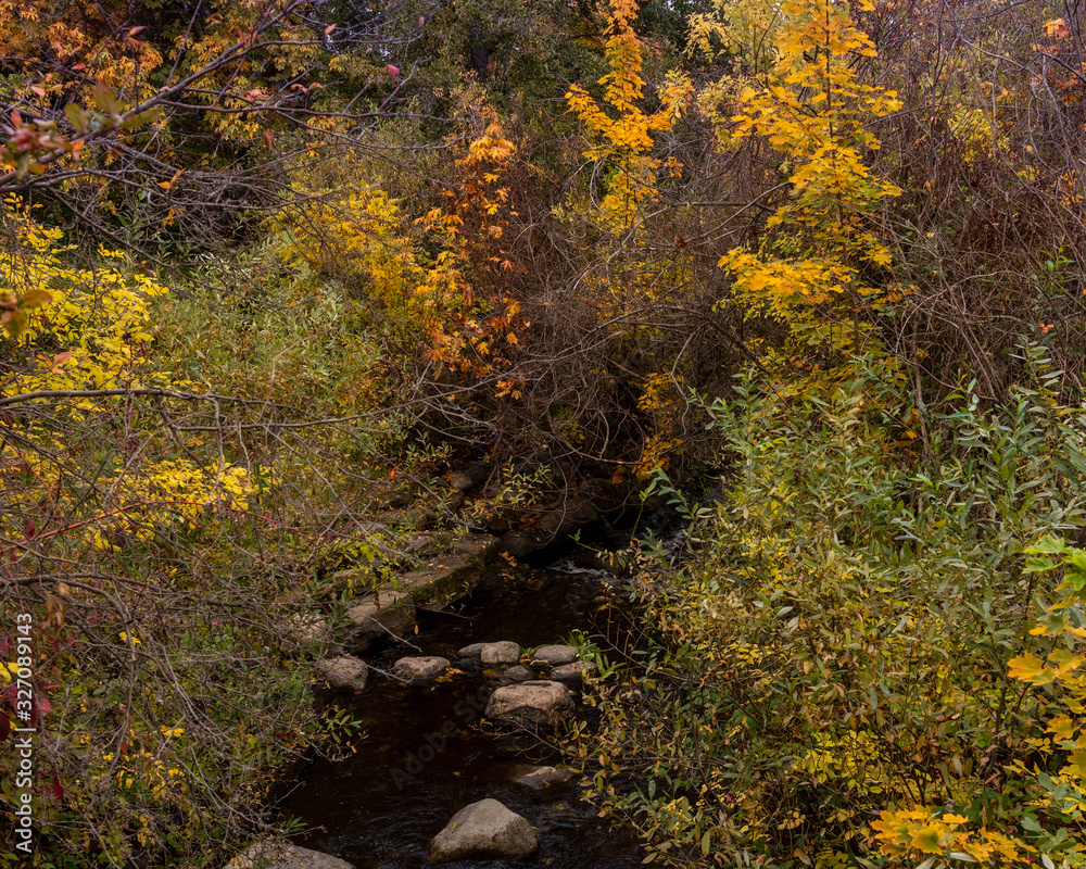 Fall foliage at Lithia Park creek in Ashland Oregon, USA, in the Autumn Fall foliage at Lithia Park creek in Ashland Oregon, USA, in the Autumn