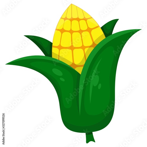 adorable corn mascot cartoon vector