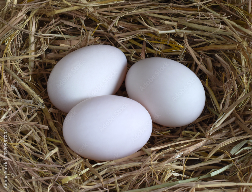 eggs in nest,Duck eggs on rice straw, raw eggs for cooking,top view.