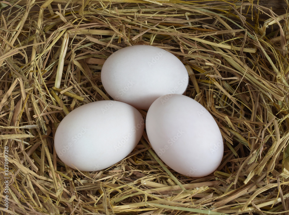 eggs in nest,Duck eggs on rice straw, raw eggs for cooking,top view. eggs in nest,Duck eggs on rice straw, raw eggs for cooking,top view.