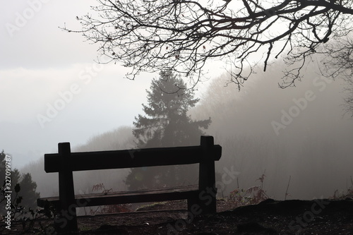 View of the countryside inclusive of a park bench on a misty winter morning