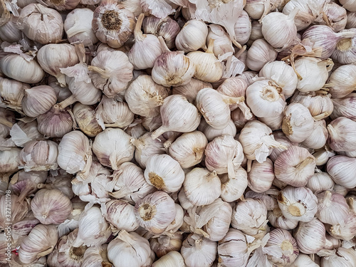 A large crop of fresh fragrant garlic.