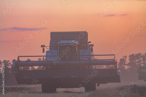 Harvesting in a wheat field combine.