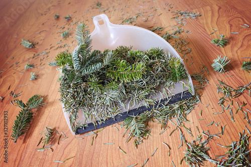 Dustpan with pine tree branches and needles, swept up after christmas holidays