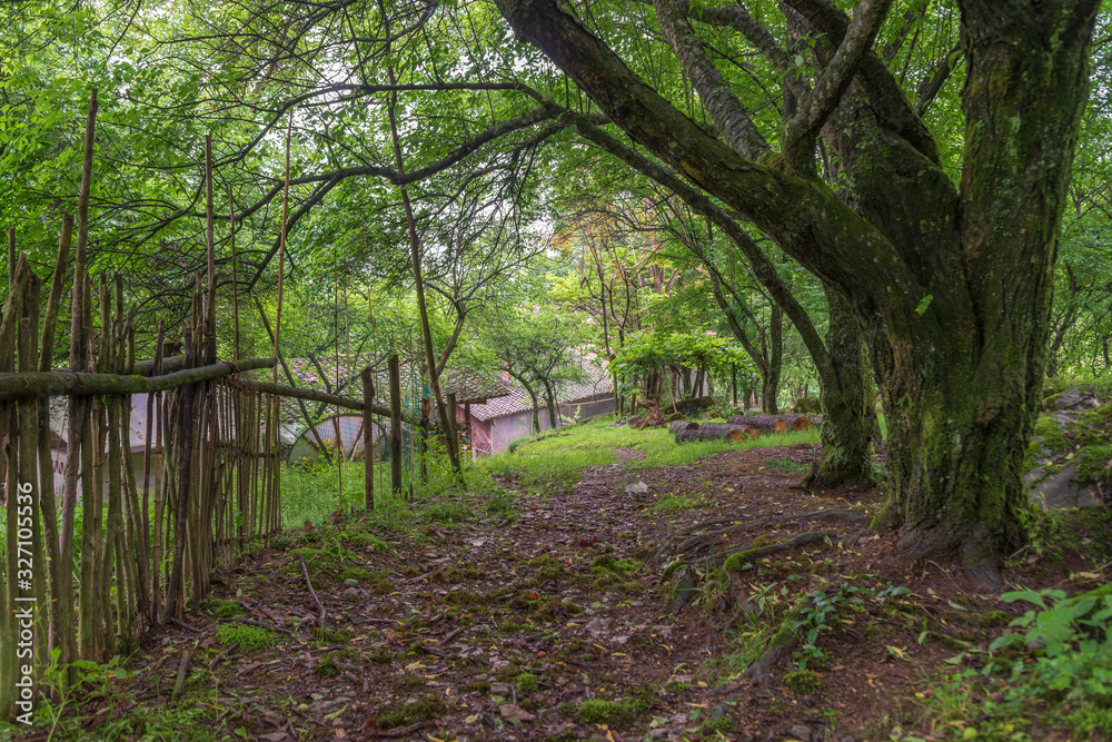 footpath to the house in the country footpath to the house in the country