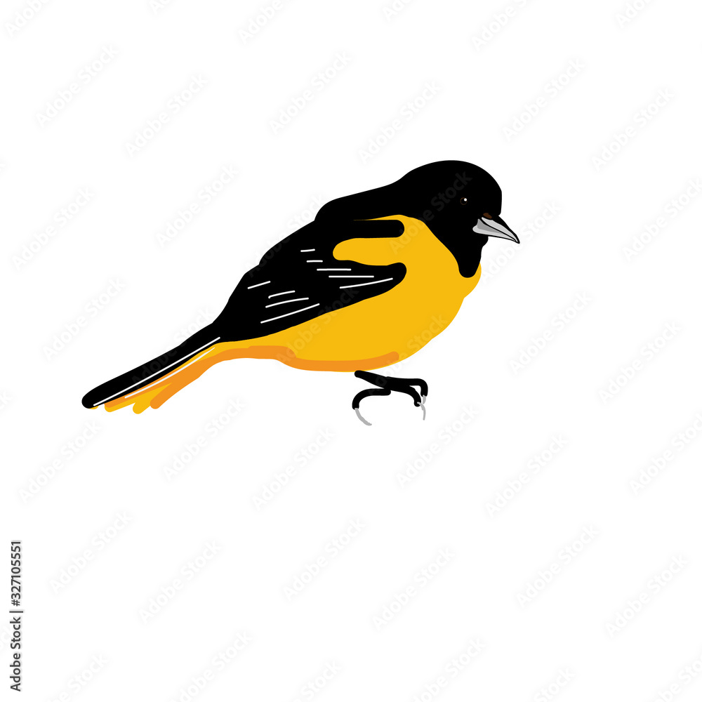 Obraz premium graphic bird. vector bird on a white background. flat illustration