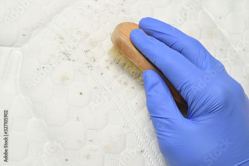 Cleaning mould stains from the mattress with a brush.