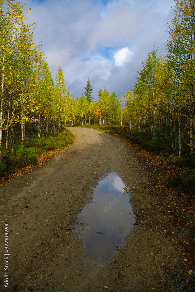 Fototapeta premium Dirt road to the top of Vottovaara mountain surrounded by autumn forest. Karelia, Russia