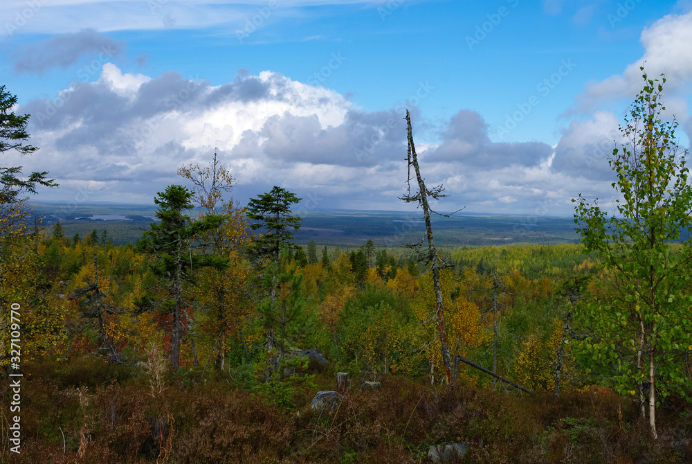 View to taiga forest and lakes from Mountain Vottovaara, Karelia, Russia View to taiga forest and lakes from Mountain Vottovaara, Karelia, Russia