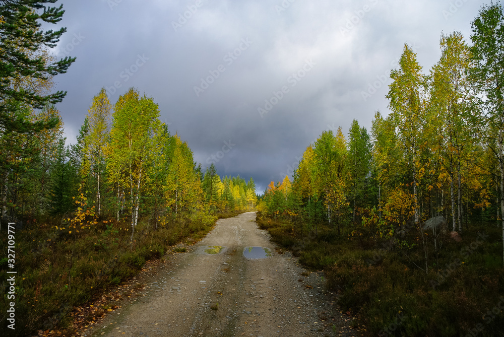 Fototapeta premium Dirt road to the top of Vottovaara mountain surrounded by autumn forest. Karelia, Russia