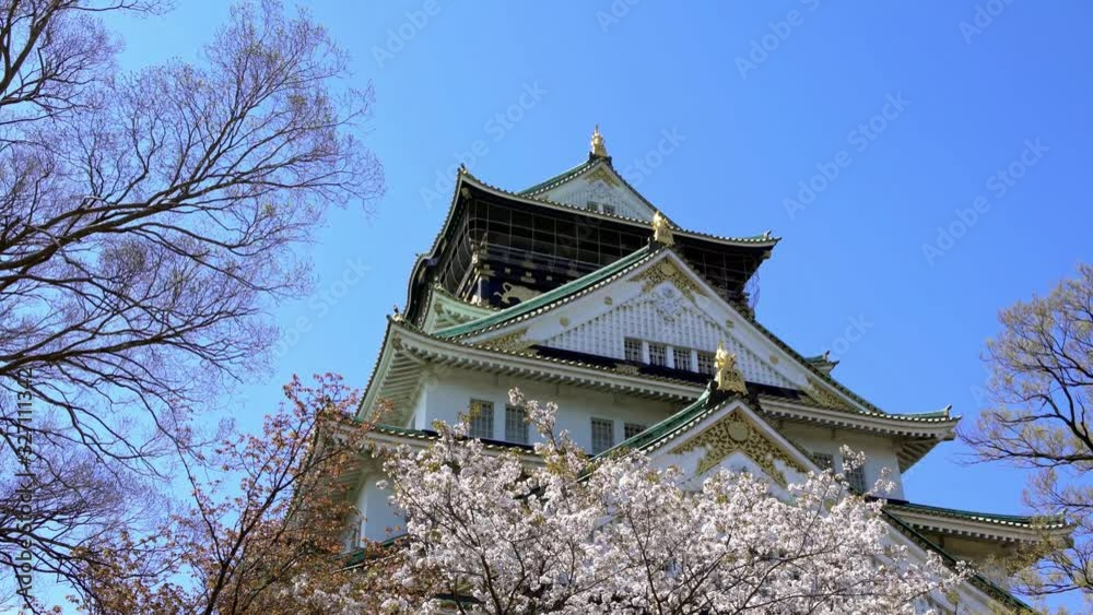 4K, Japanese ancient Osaka castle with sakura blossom, symbol in Kansai region Japan. Famous spot for tourist. Beautiful scene landmarks of old heritage building, spring season with cherry blossom-Dan 4K, Japanese ancient Osaka castle with sakura blossom, symbol in Kansai region Japan. Famous spot for tourist. Beautiful scene landmarks of old heritage building, spring season with cherry blossom-Dan