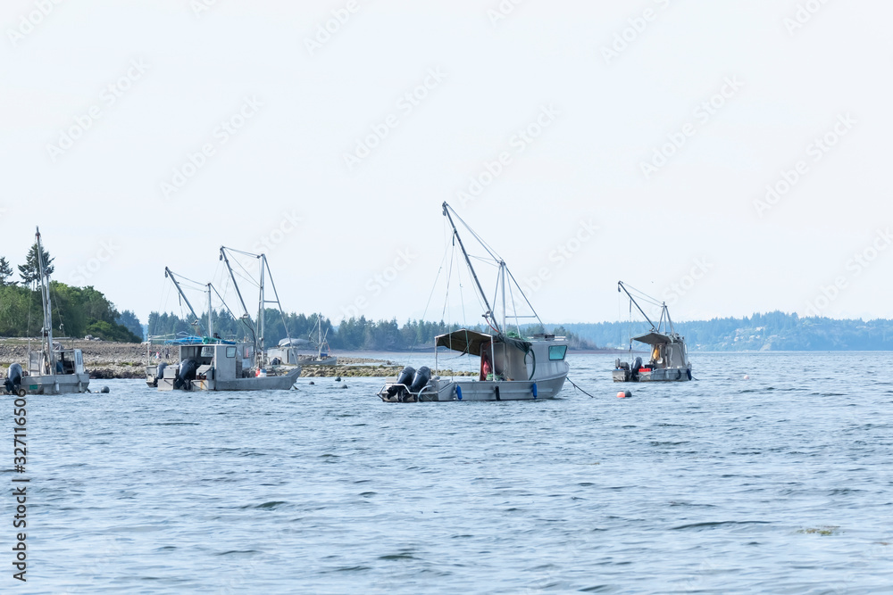 Fishing boats in the ocean at Union Bay, Vancouver Island, British Columbia, Canada