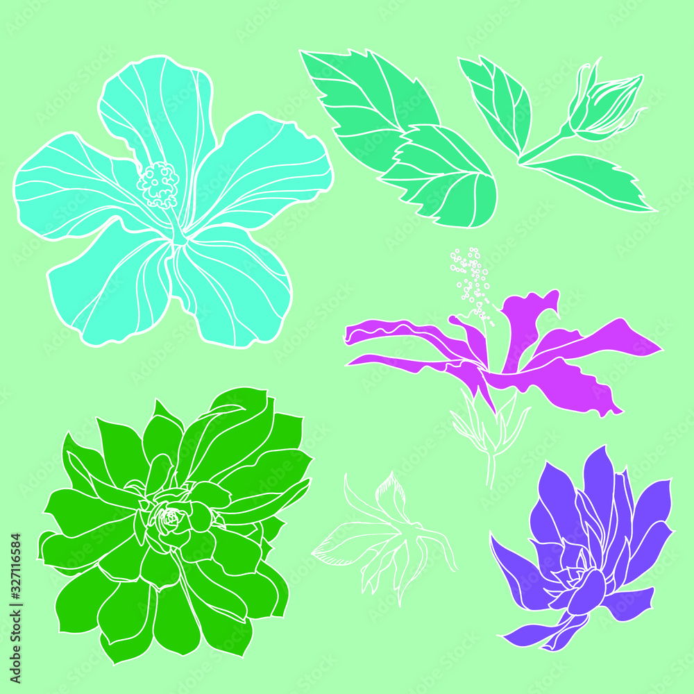 Vector set of natural plants and flowers design elements. Rose flower stock illustration