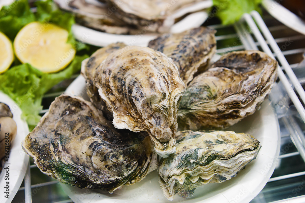 Closed frozen oysters are in the freezer. Shellfish lie on a plastic plate.