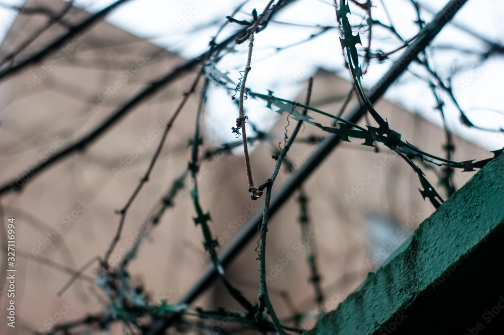 barbed wire on a concrete fence, Moscow barbed wire on a concrete fence, Moscow