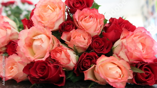 Closeup viele liegende Rosenblüten in rot und rosa-weiß