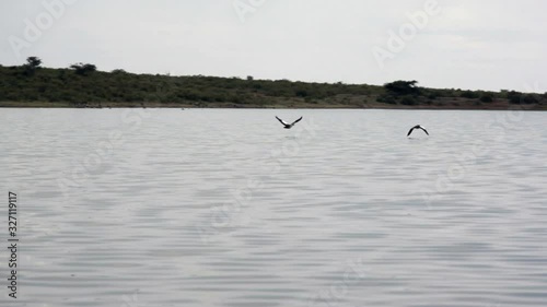 2 birds fly over Kisima lake, Samburu, Kenya, Africa, long shot photo