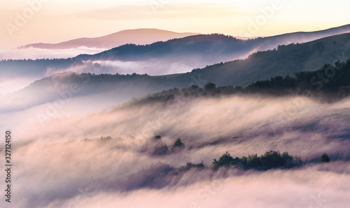 amazing foggy nature image, stunning morning view 
