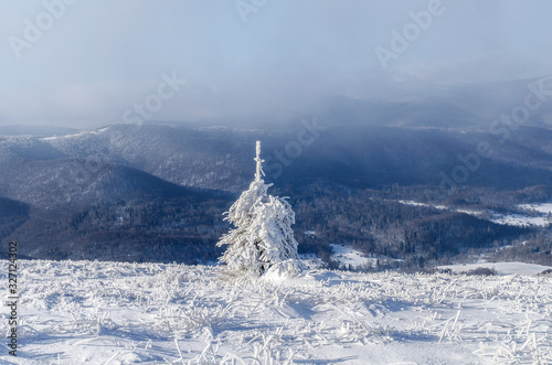 Fototapeta Naklejka Na Ścianę i Meble -  panorama z połoniny Wetlińskiej Bieszczady