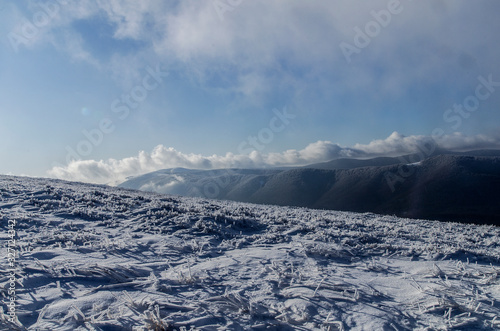 Fototapeta Naklejka Na Ścianę i Meble -  panorama z połoniny Wetlińskiej Bieszczady