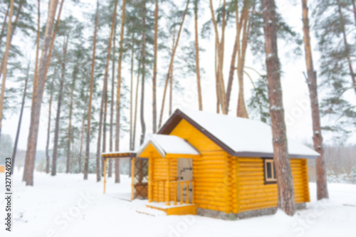 wooden house in winter forest © lijphoto