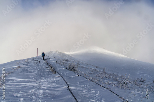 Fototapeta Naklejka Na Ścianę i Meble -  zima na połoninie Wetlińskiej Bieszczady 