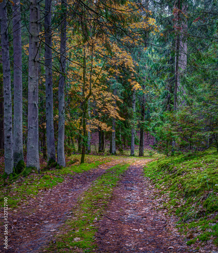 Nemunas Loop Regional Park photo