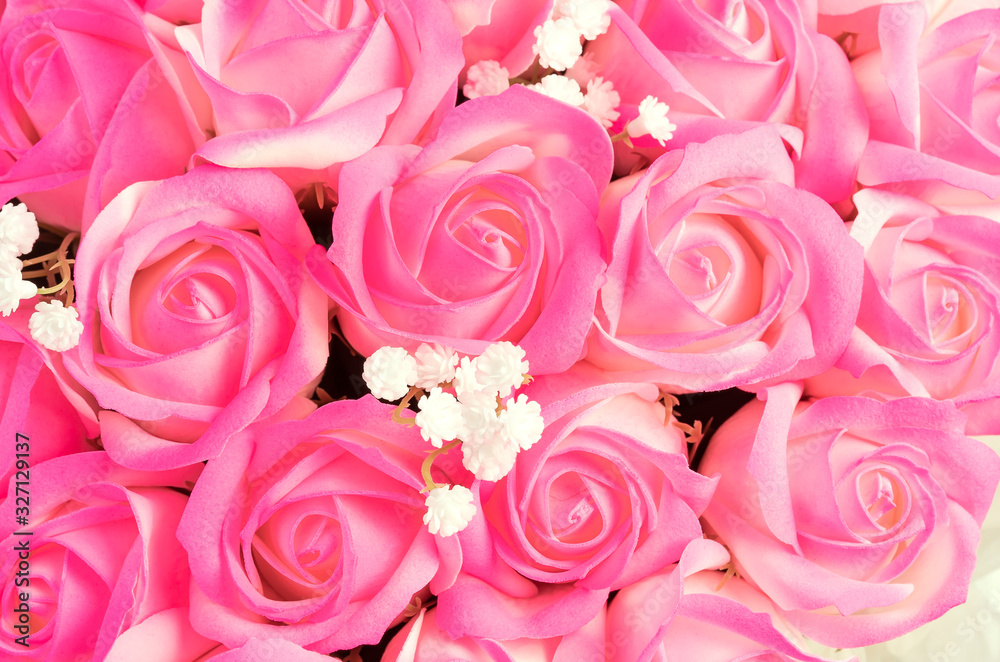 Soft rose color background top view