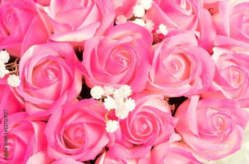 Soft rose color background top view