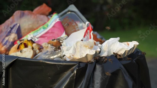 Bees fly all around overflowing garbage can, close up
