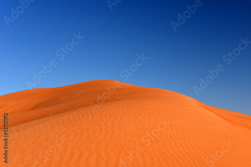 Huge dunes of the desert. Beautiful structures of yellow sand dunes. United Arab Emirates. Asia.