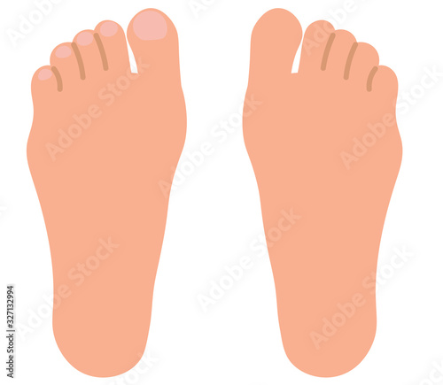 足の甲と足の裏　イラストセット