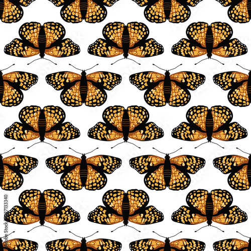 Vector seamless pattern with bright butterflies. Hand drawn texture design