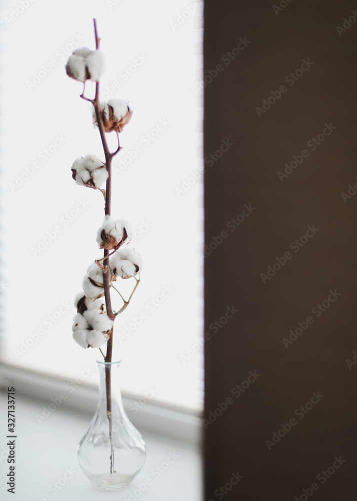 Cotton branch in a vase. Cotton flower and pusy willows close up.  Minimalistic home decor