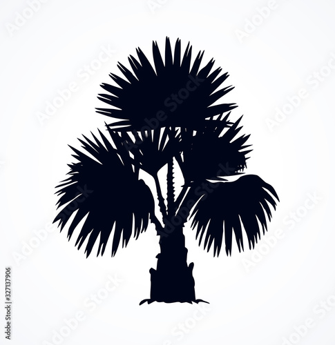 Tropical bush. Vector drawing