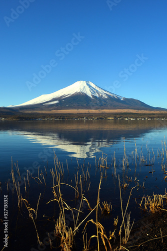 富士　富士山　山梨県山中湖付近の風景