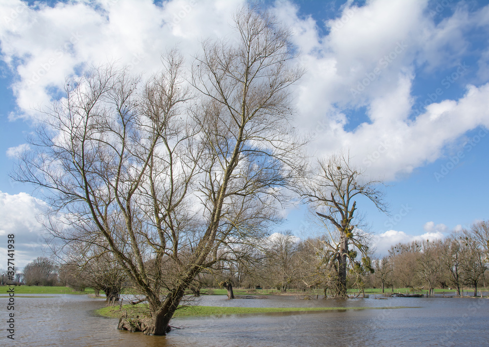 Hochwasser im Naturschutzgebiet Urdenbacher Kämpe am Rhein bei Düsseldorf,NRW,Deutschland Hochwasser im Naturschutzgebiet Urdenbacher Kämpe am Rhein bei Düsseldorf,NRW,Deutschland