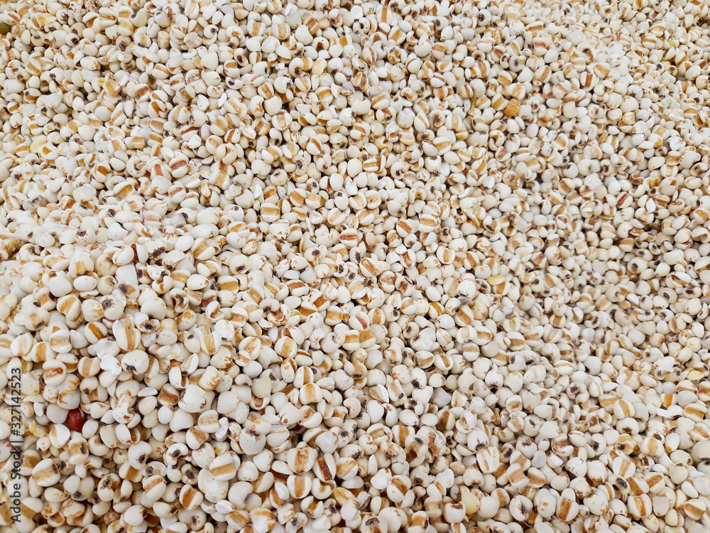 job's tear background photo reflects about healthy food and natural grain job's tear background photo reflects about healthy food and natural grain