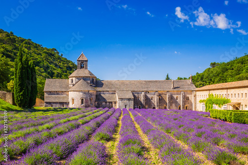 Obraz na płótnie Provence, France. Provence, France. Lavender fields at Senanque monastery. w salonie