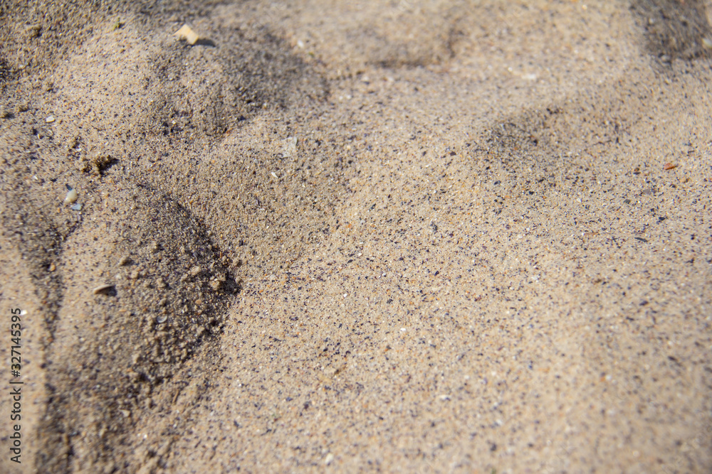 Sea beach texture, sand, shells, background, texture Sea beach texture, sand, shells, background, texture